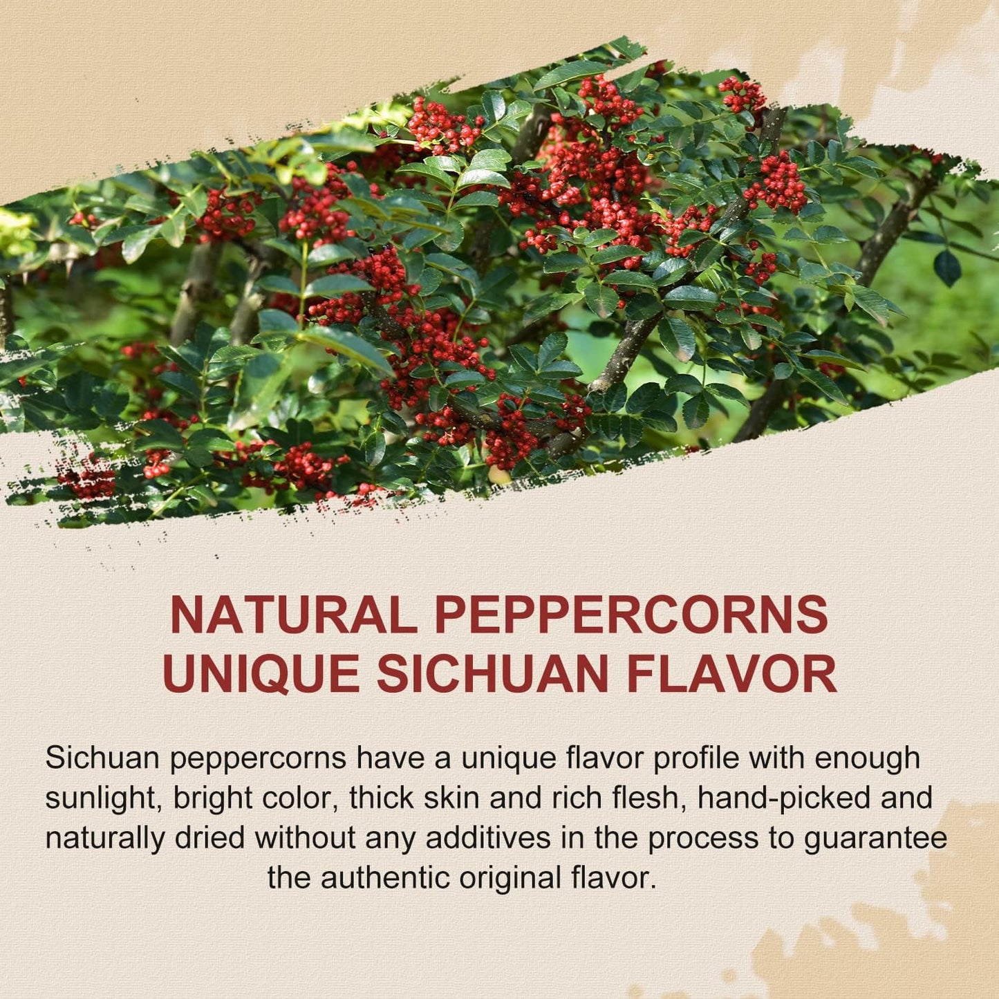 52USA Szechuan Peppercorns, Authentic Sichuan Peppercorns 8OZ, Mala Pepper, Unique Numbing, Essential for Mapo Tofu, Kung Pao Chicken, Asine Cusine, Sichuan Red Peppercorn, Whole Chinese Peppercorn