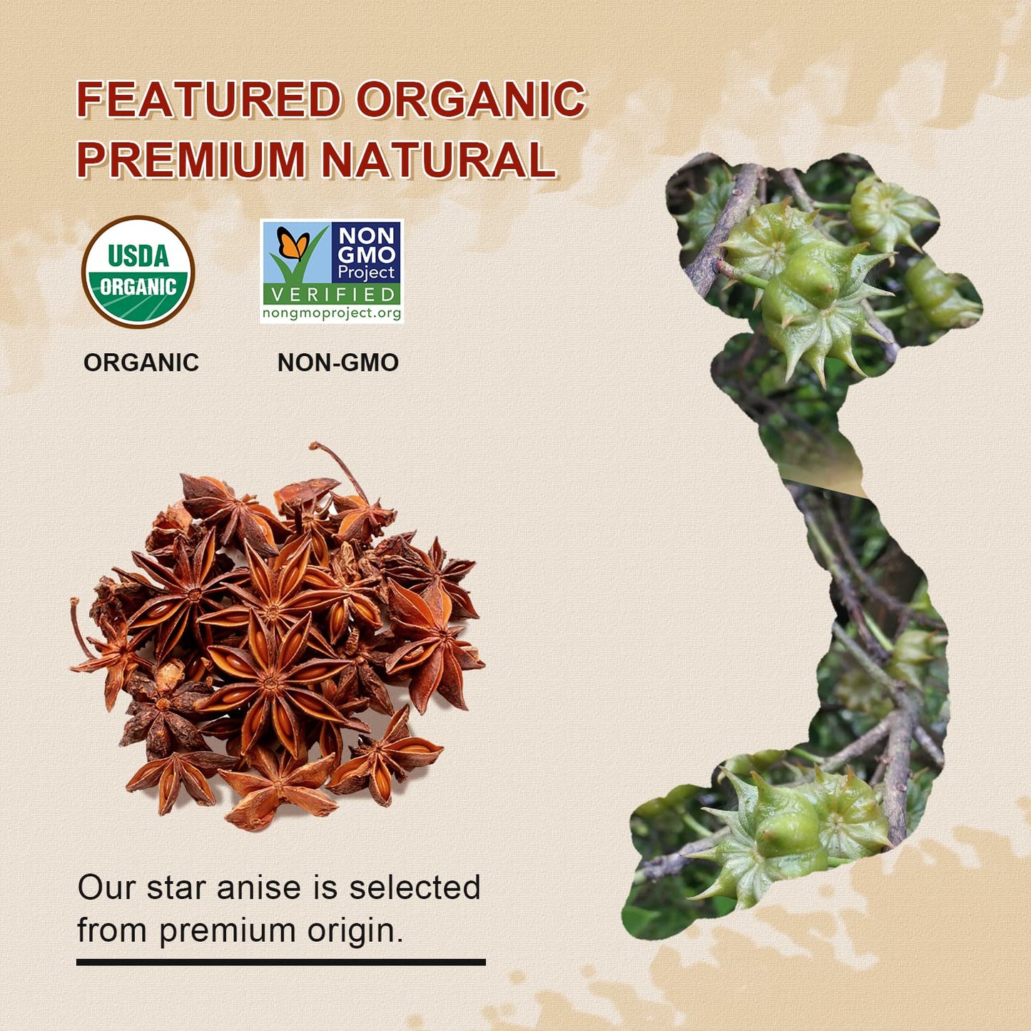 52USA Organic Star Anise Whole, 16oz