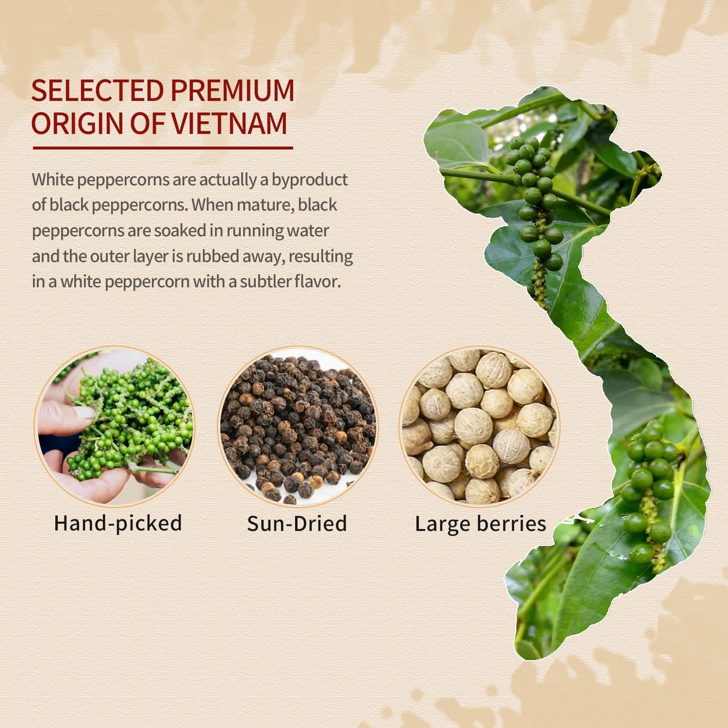 52usa White Whole Peppercorn, 18oz