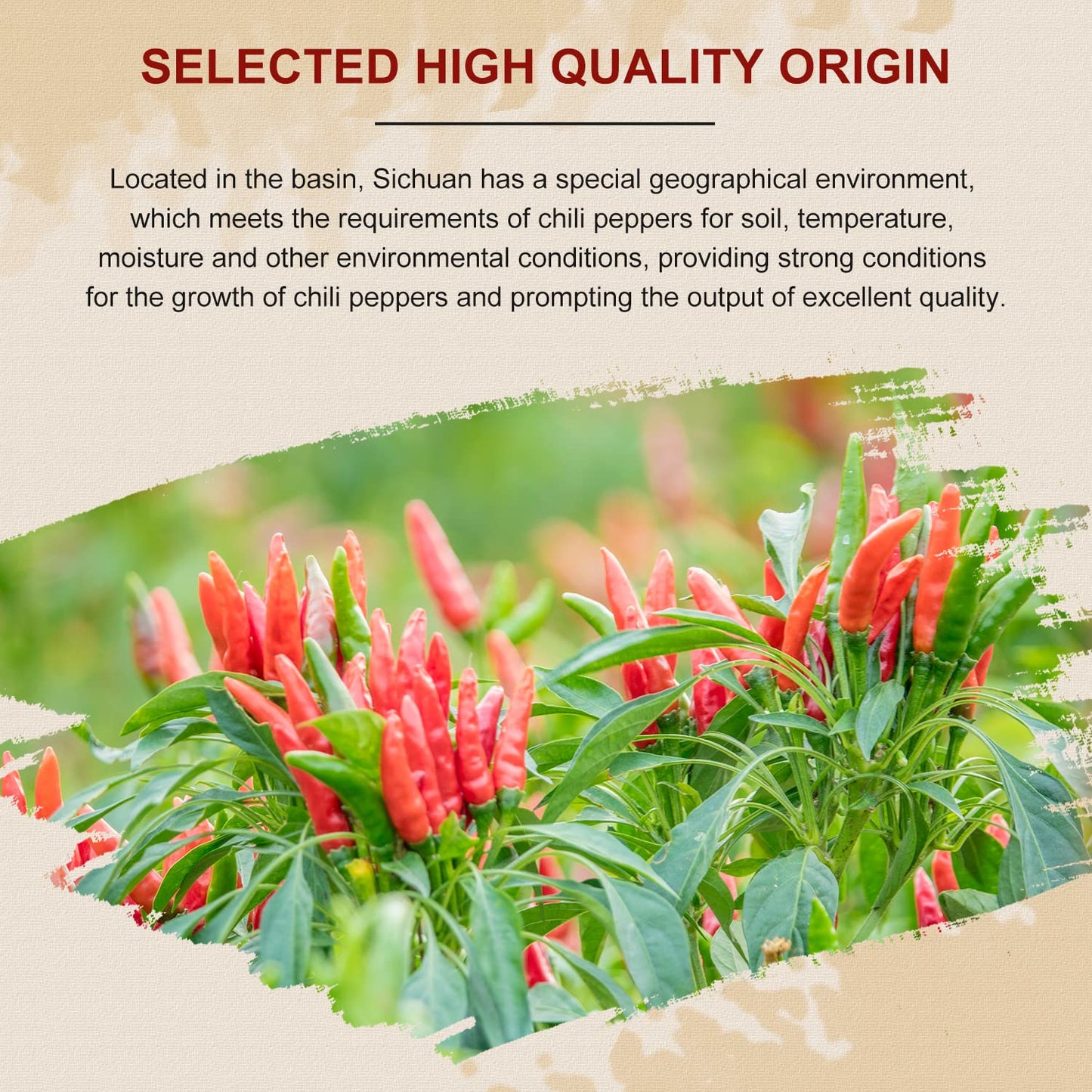 52usa Szechuan Red Dried Whole Chilis 4oz (Medium Hot)