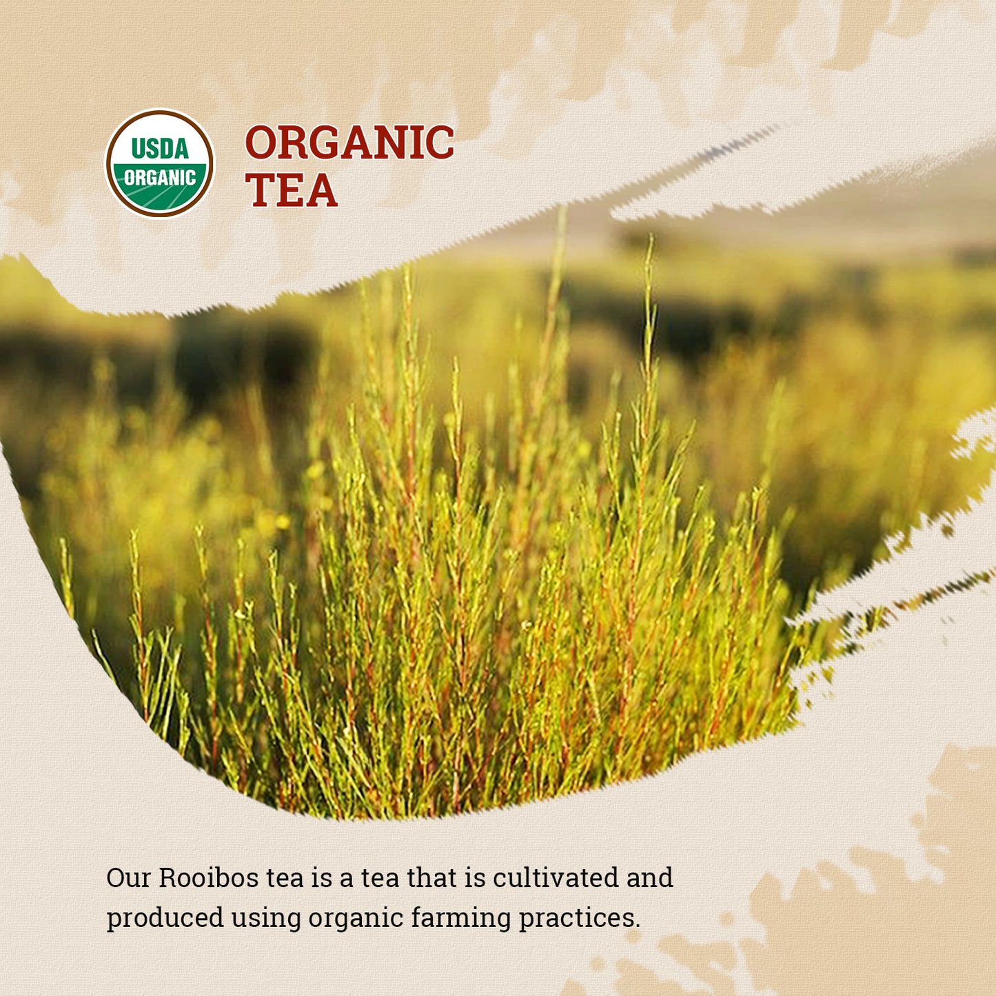 52USA Organic Rooibos Tea, 100 Bags