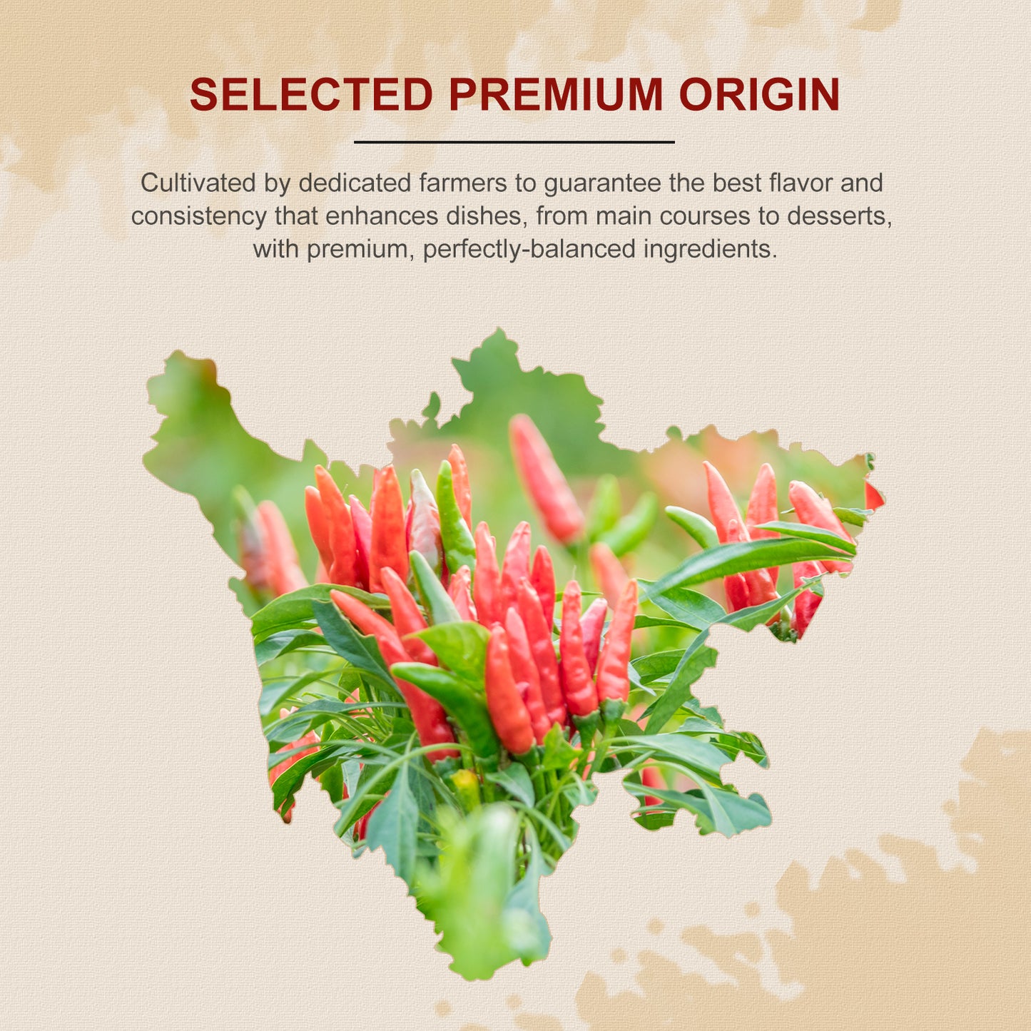 52USA Dried Chilli Peppers, Whole Dried Chilies 4 oz, Mild Spicy Chili Peppers, 100% Natural & Premium Sichuan Red Dry Chilis, Red Chili Peppers, Dry Sichuan Chile Peppers Great for Mexican Recipes