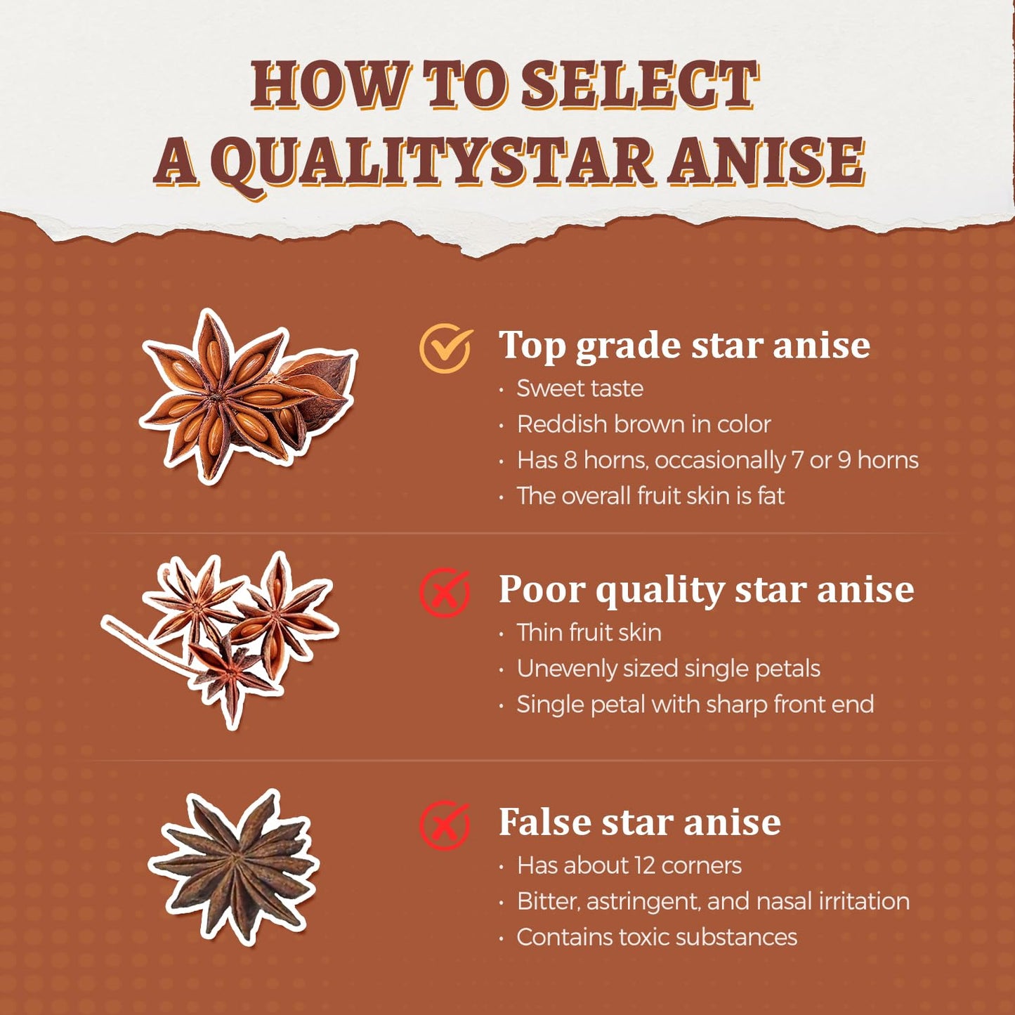 52USA Whole Chinese Star Anise Pods, 6.5oz (184g), Non-GMO Dried Spice