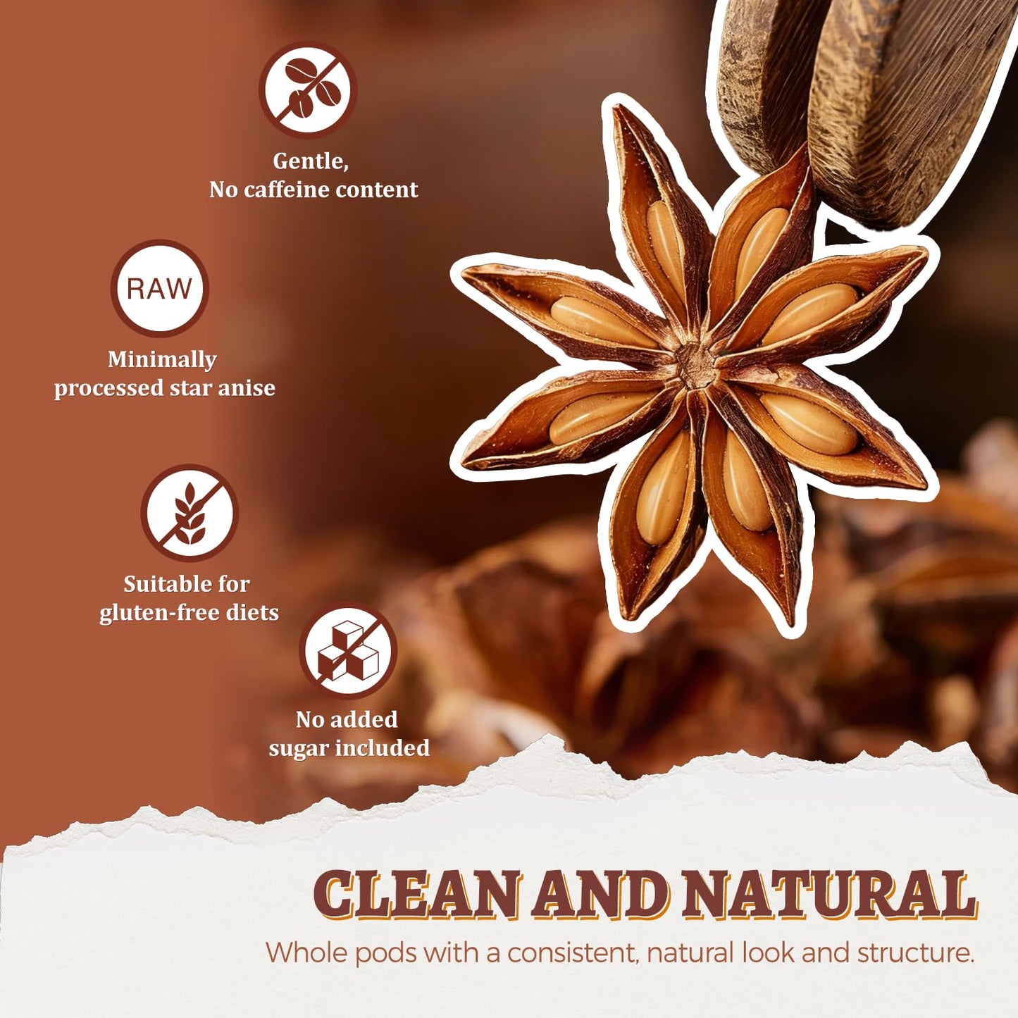 52USA Whole Chinese Star Anise Pods, 6.5oz (184g), Non-GMO Dried Spice