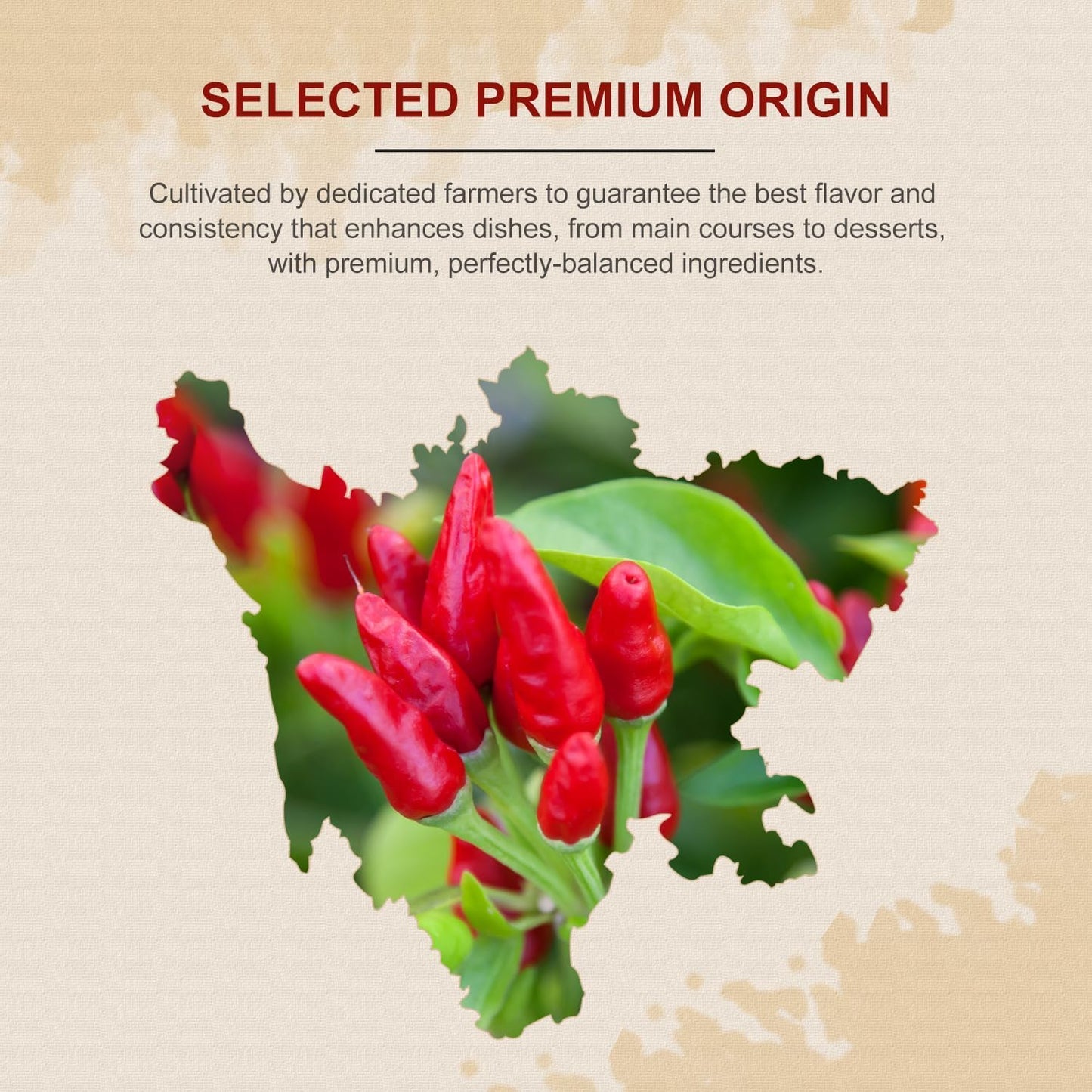 52USA Dried Chilli Peppers, Whole Dried Chilies 4 oz, Mild Spicy Chili Peppers, 100% Natural & Premium Sichuan Red Dry Chilis, Red Chili Peppers, Dry Sichuan Chile Peppers Great for Mexican Recipes