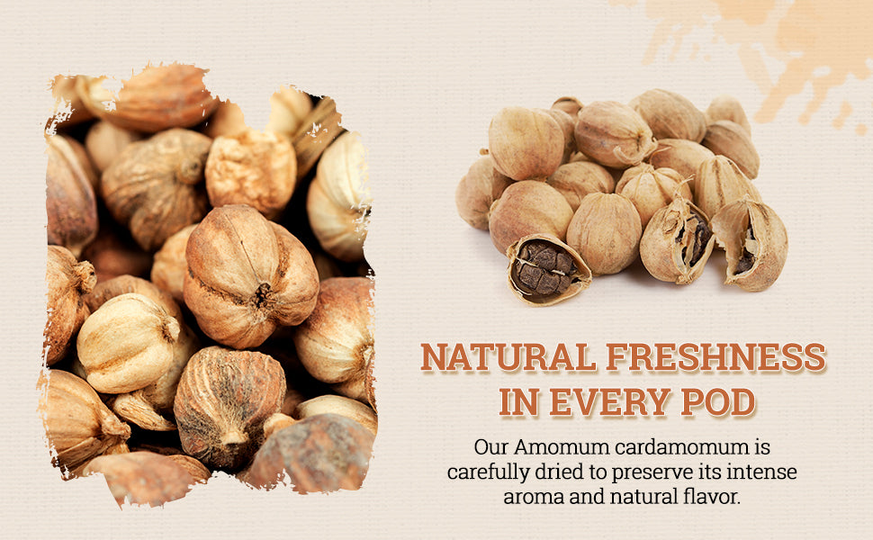 52USA Cardamom Pods, White Cardamom, 4oz–NON GMO Verified, Amomum Cardamomum, Bai Dou Kou, White Cardamom Seeds, Aromatic & Natural, Aromatic Spice for Cooking, Herbal Tea & Traditional Remedies