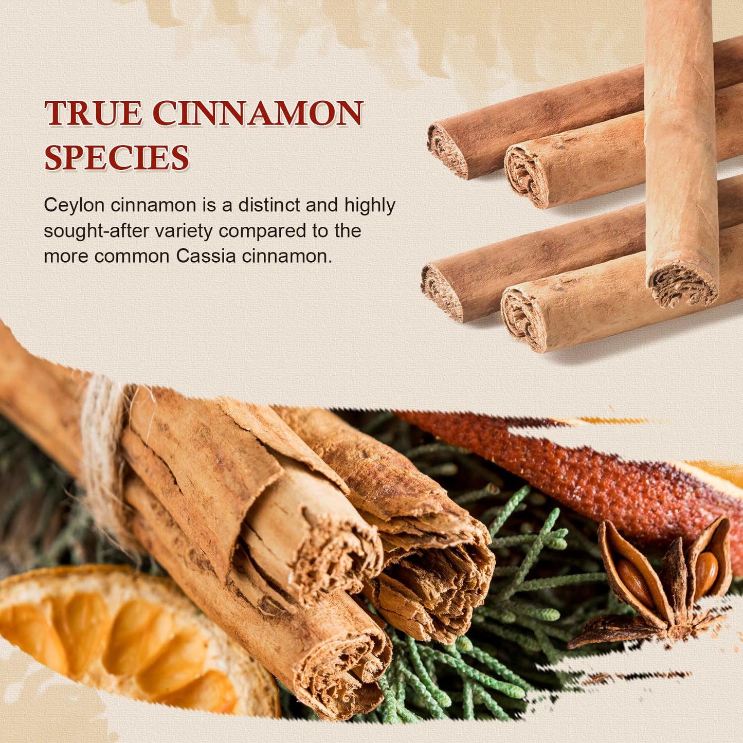 52USA Organic Ceylon Cinnamon Sticks, 1 Ounce (Pack of 1) | True Cinnamon Farmed in Sri Lanka, Whole Cinnamon Sticks Bulk, Vegan, Non GMO, 28g