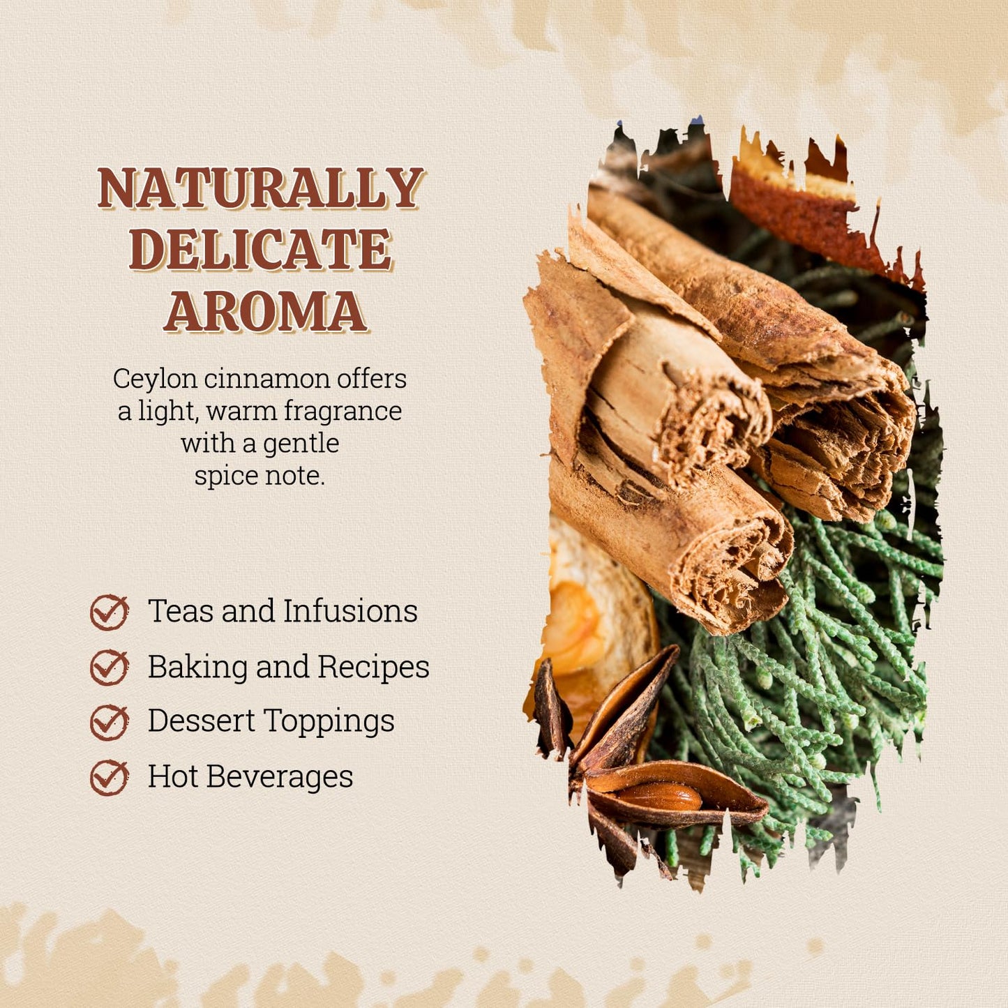 52USA Organic Ceylon Cinnamon Sticks 1 oz, Ceylon Cinnamon Stick Organic, Ceylon Ground Cinnamon farmed in Sri Lanka, Non-GMO, Cinnamon for Coffee, Baking, Cooking and Beverages