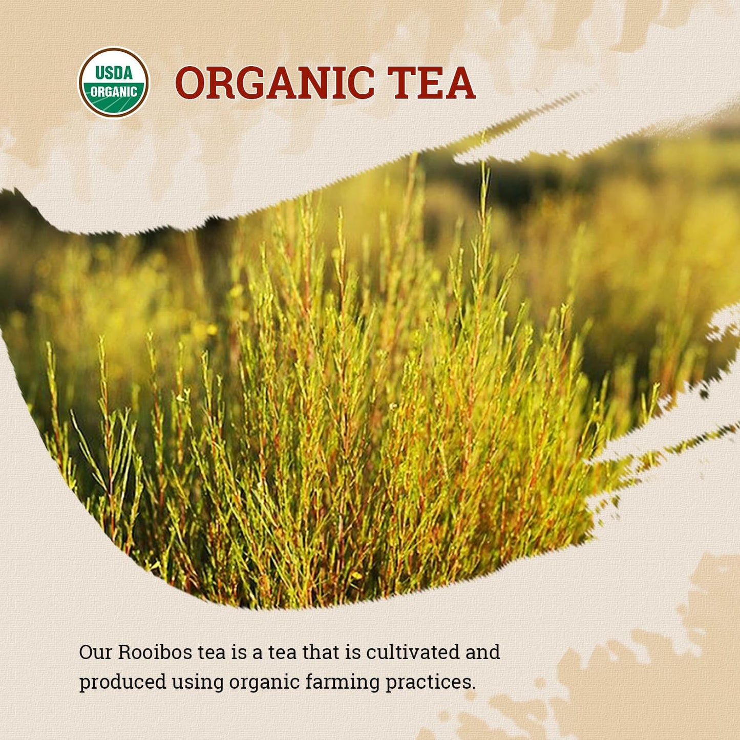 52USA Red Rooibos Tea Bags, 80 Tea Bags, Rooibos Tea Organic Pure Premium Rooibos Chai Tea, Herbal Tea, Naturally Sweet & Caffeine-Free, Farmed in South Africa, USDA Organic, 7oz (200g)