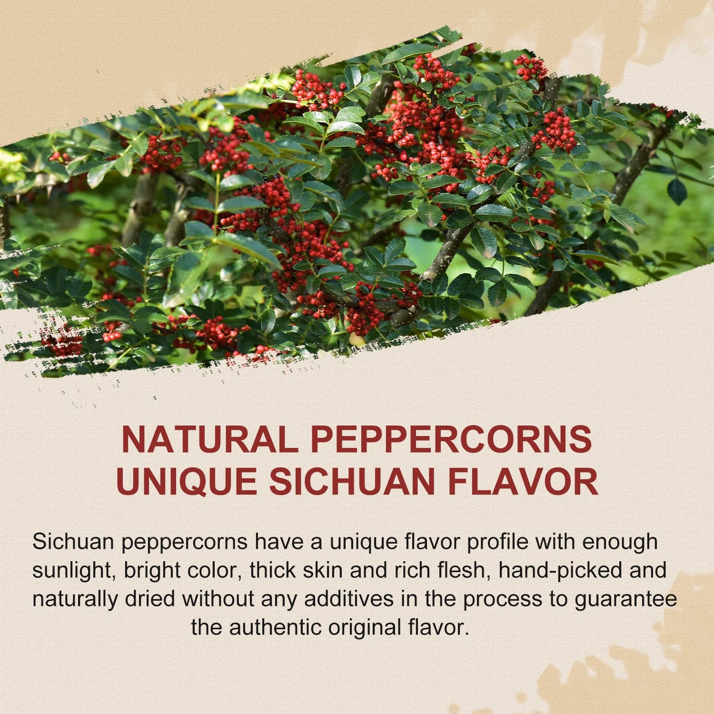52USA Sichuan Peppercorn, Szechuan Peppercorns(4OZ), Authentic Szechuan Red Peppercorn, Less Seeds, Strong Flavor, Whole Sichuan Red Peppercorns, Tingly Numbness, Key for Mapo Tofu and Sichuan Dishes